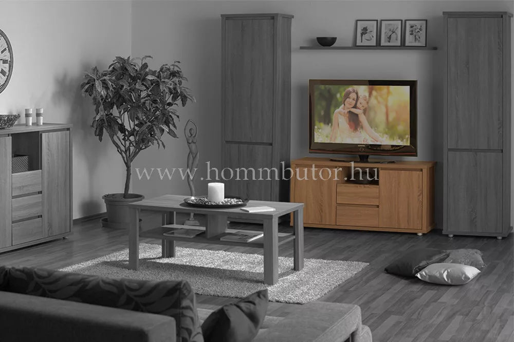 FREE TV-állvány