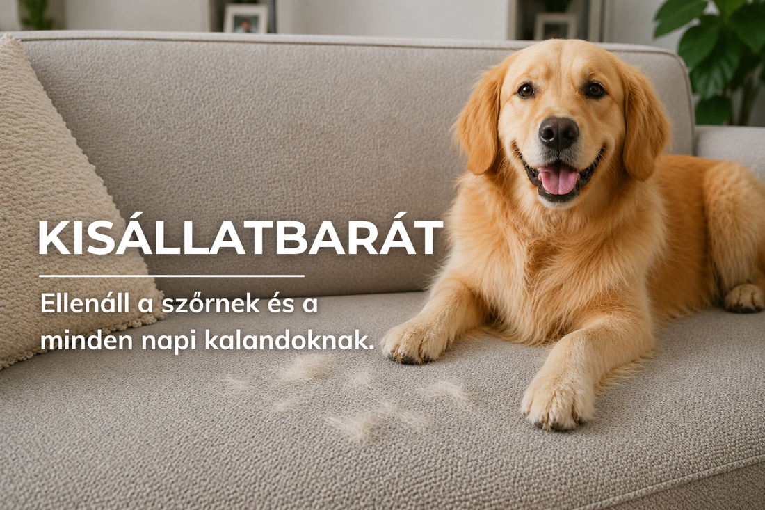 Kisállatbarát kárpitok